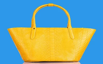 Buying and Selling A Birkin Bag From A Pawn Shop (What You Need to Know)
