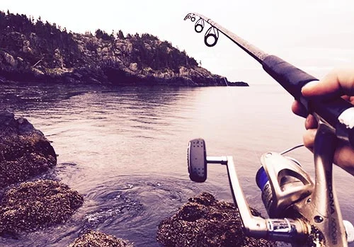 Fishing Rod Fishing reels and poles in Azusa Pawn